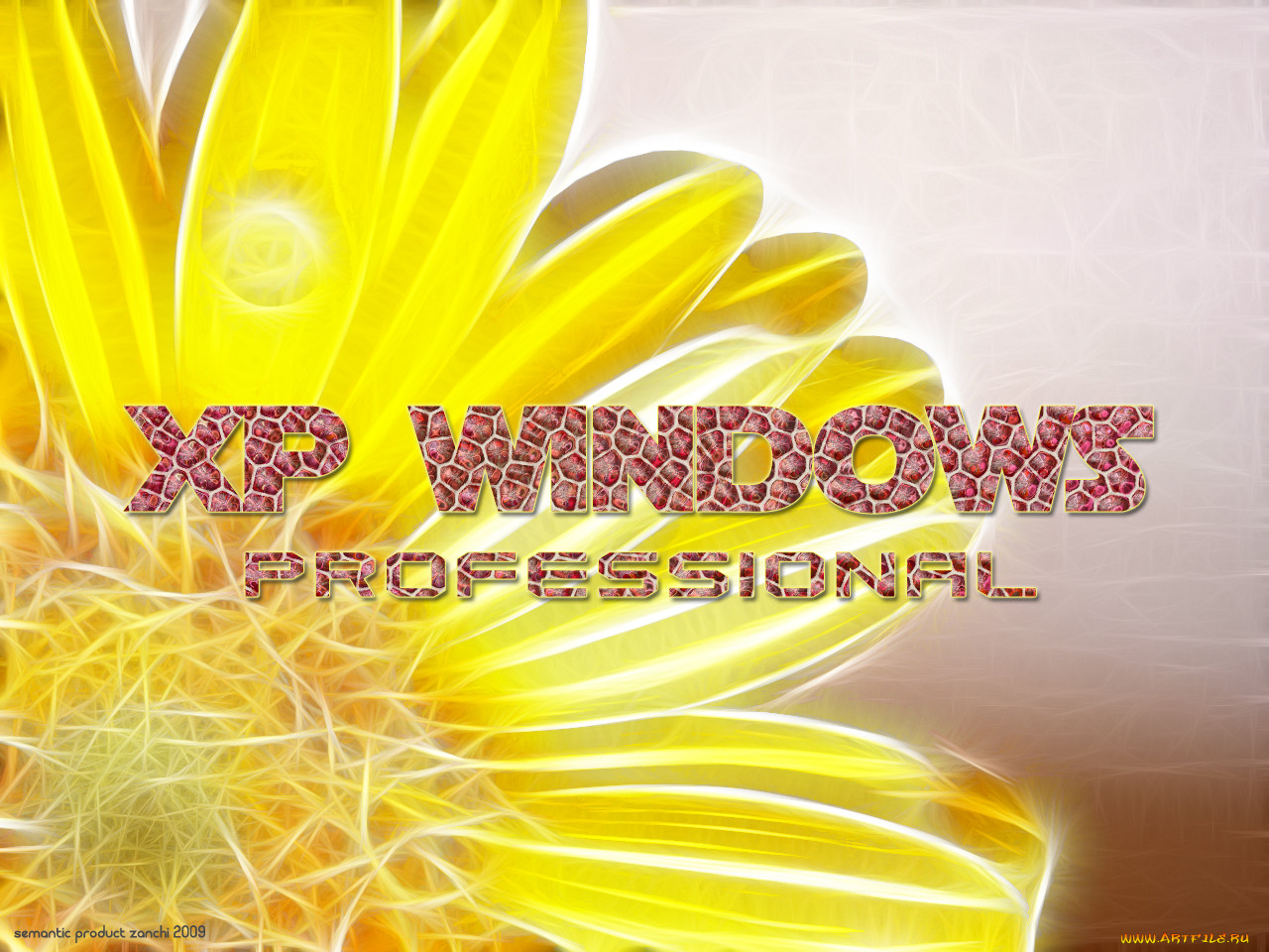 , windows, xp